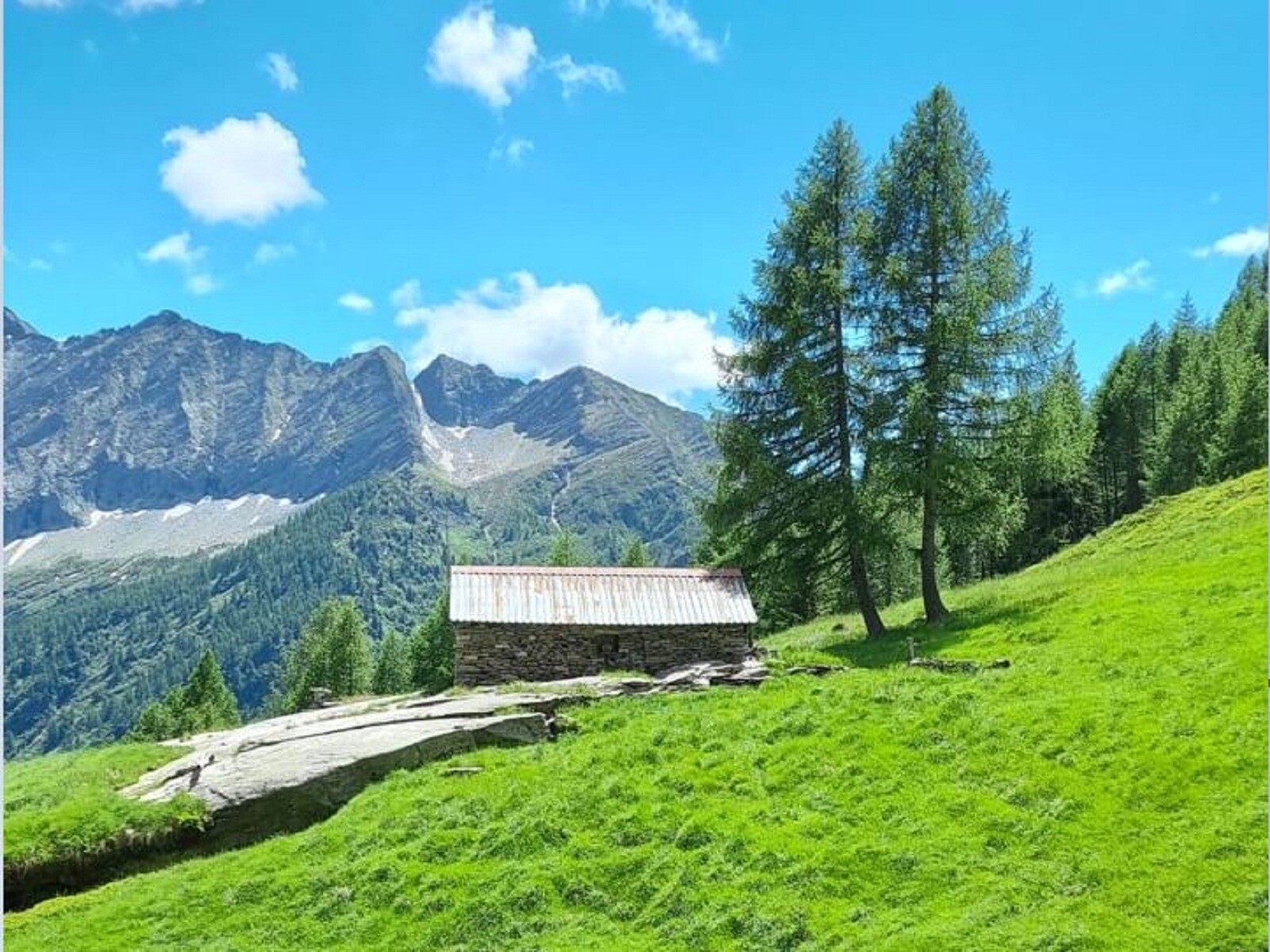 03.2026/Rivista Mesolcina e Calanca